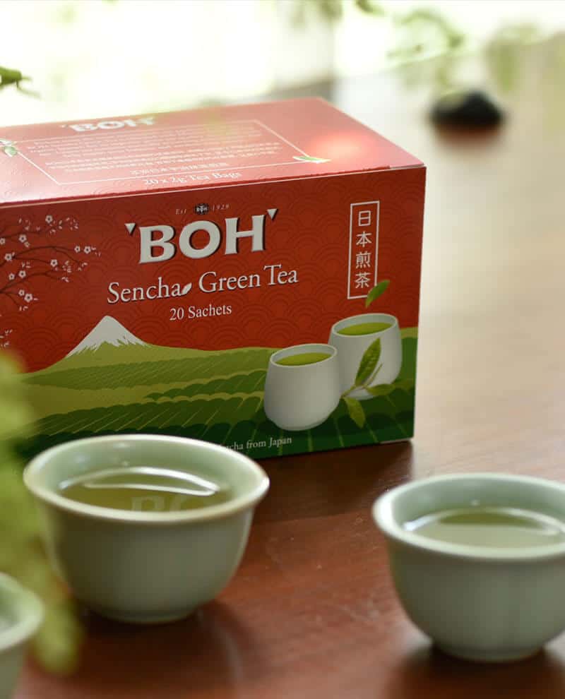 BOH Grüner Tee Sencha